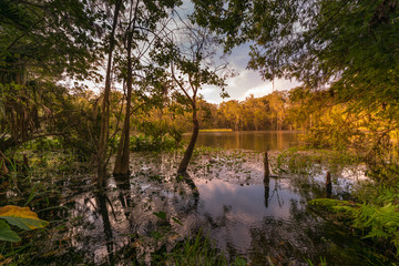 Fototapeta na wymiar Silver Springs State Park Florida Scenic