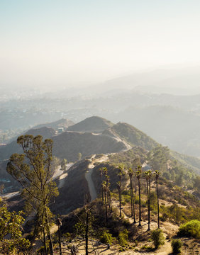 Scenic view of Griffith Park