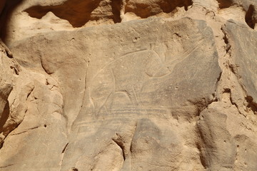 Ancient rock engraving in Sahara Desert