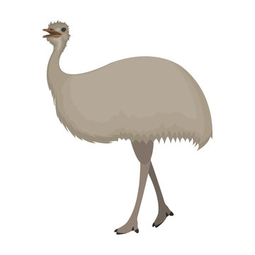 Bird, Ostrich Emu.African Wild Ostrich Single Icon In Cartoon Style Vector Symbol Stock Illustration Web.