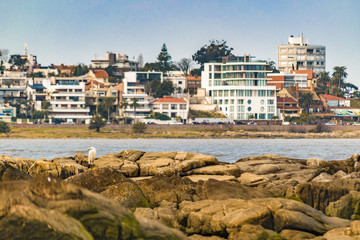 Elegant Neighborhood, Montevideo, Uruguay