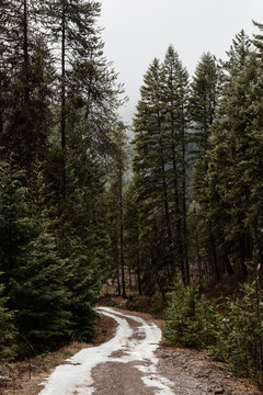 Downhill Road With Snow Melting Off On A Rainy Day.