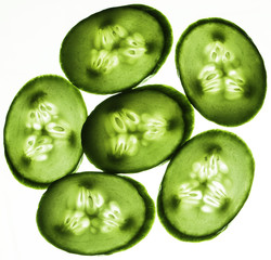 Cucumber 