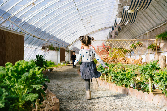Kid running in a plant greenhouse
