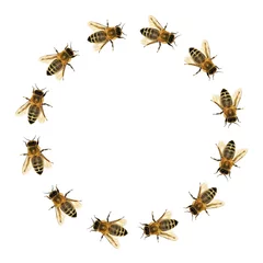 Fotobehang group of bee or honeybee in the circle © Daniel Prudek