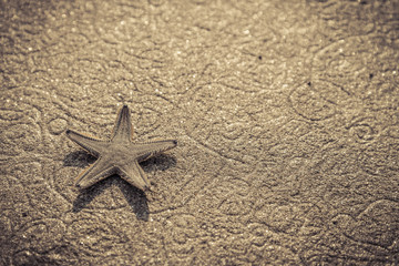 Fototapeta na wymiar Live starfish on beach sand