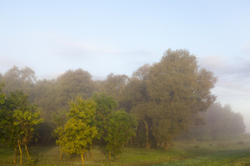Obraz na płótnie Canvas Fog mist landscape