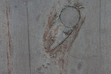 holz hintergrund mit holzlatten und struktur