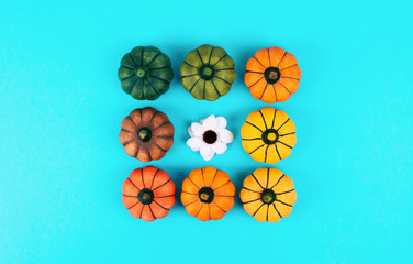 Decorative pumpkins on blue background.