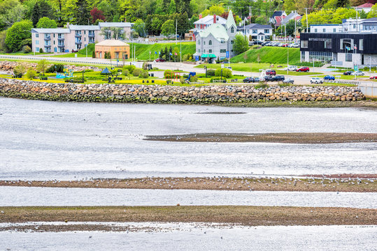 Saint Lawrence river with La Malbaie, Canada town cityscape in Charlevoix region, Quebec with houses, many flock seagulls on rocky beach shore