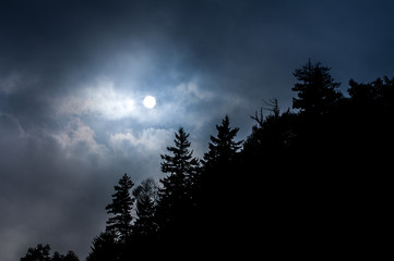 Nighttime moon coming through clouds with forest trees in silhouette.  