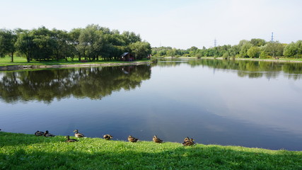 Park and Nature with its beaty