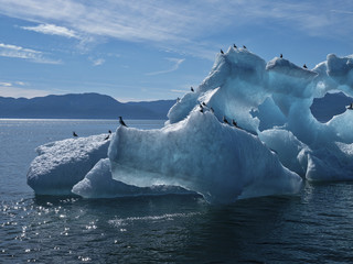 Iceberg, Endicott Arm, Alaska