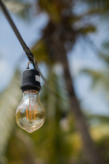 rustic lightbulp on line