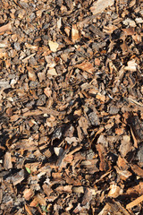 Crushed tree bark