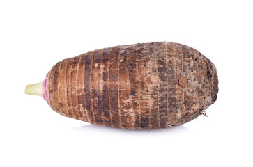 unpeeled raw taro on white background