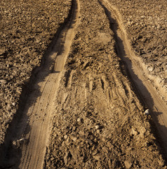 wheel tracks