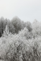 Snow drifts in winter