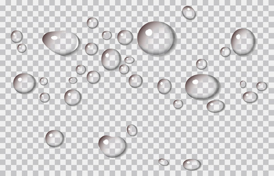 Realistic vector water droplets or dewy surface. Vector graphic on isolated transparent background. The droplets can be moved independently of each other.
