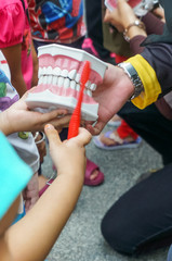 Health education. Closeup shot of a female instructor holding out a teeth replica. Brush teeth educational program.