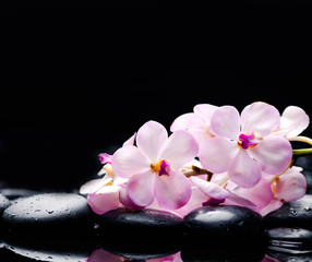 Naklejka na ściany i meble Lying on branch white orchid with black stones on wet pebbles 