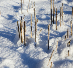 Snow covered field