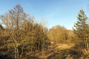 River in February