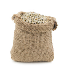 Pearl Millet or Bajra