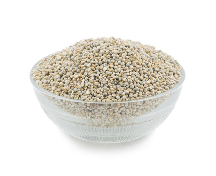 Pearl Millet or Bajra