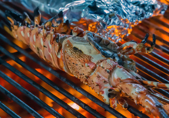 Lobster seafood omar cuisine