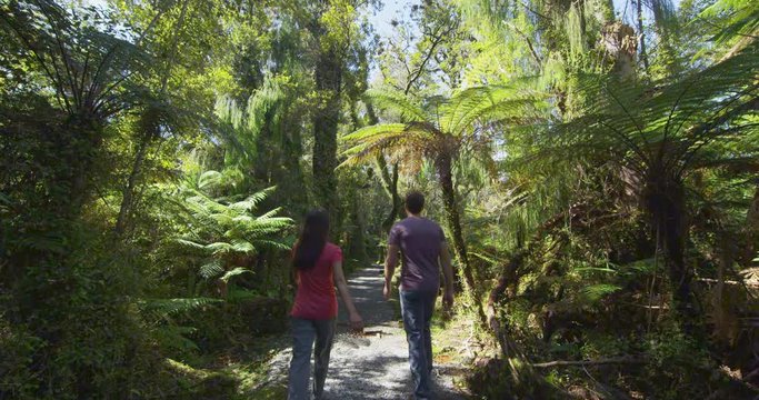 Hiking people in New Zealand. Hikers hiking in swamp forest nature landscape in Ship Creek on West Coast of New Zealand. Tourist couple sightseeing tramping on South Island of New Zealand.