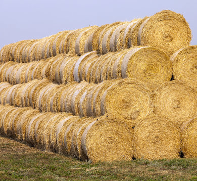 haystacks on an agricultural field