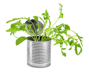 Fototapeta na wymiar Young green plants in tin can isolated on white. Recycling garbage concept