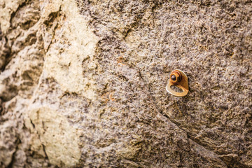 Stone rocks texture with climbing handles