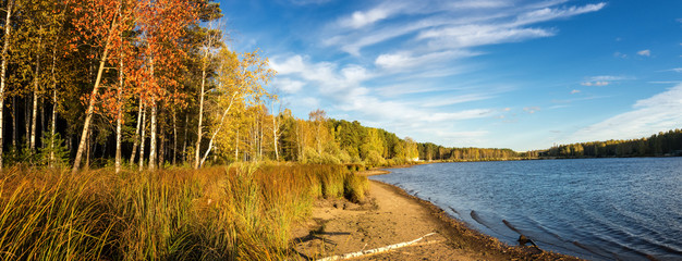 панорама осеннего пейзажа на берегу озера с лесом и камышом, Россия, Урал © 7ynp100