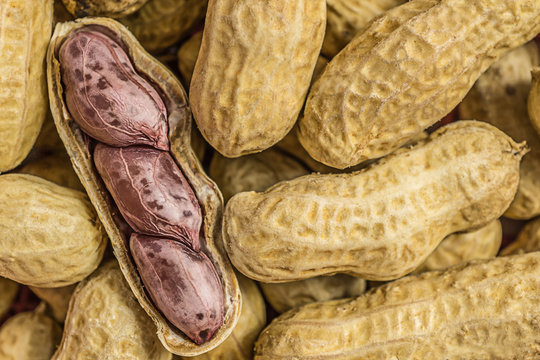 macro picture of peanuts seed in open shell for background or refernce image