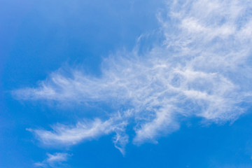 the blue sky background