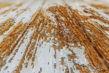 Old wood board texture