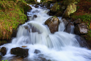 A gorgeous mountain waterfall flows among green forest and runs down the beautiful gray stones.