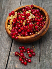 Bowl with red currant