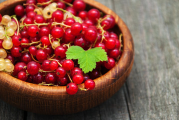Bowl with red currant