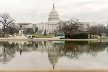 Fototapeta premium United States Capitol Building - Washington, DC