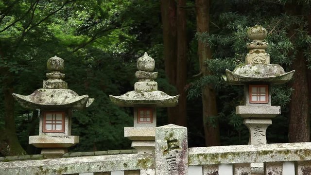 神社の石畳沿いにある石灯籠