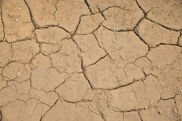 Dried cracked earth soil ground texture background. Mosaic pattern of sunny dried earth soil