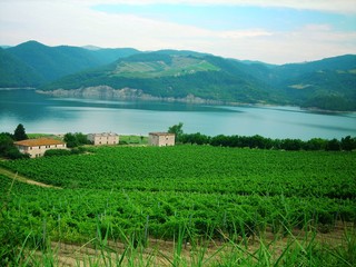 The landscape of the north Europe lands