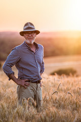 A farmer standing in his field in the middle of wheat ears