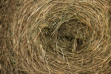 straw bale background