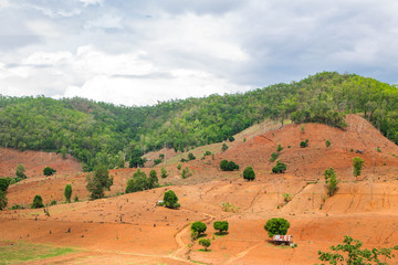 Obraz premium Forest destroyed on mountain with blue Cloud sky background