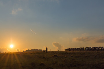 Shepherd with cow on the Slovak mountain