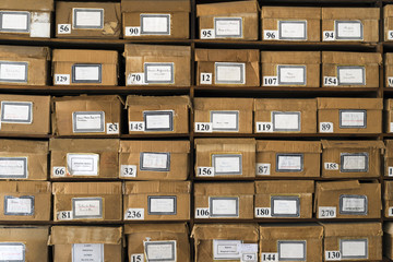 old cardboard boxes fill shelves